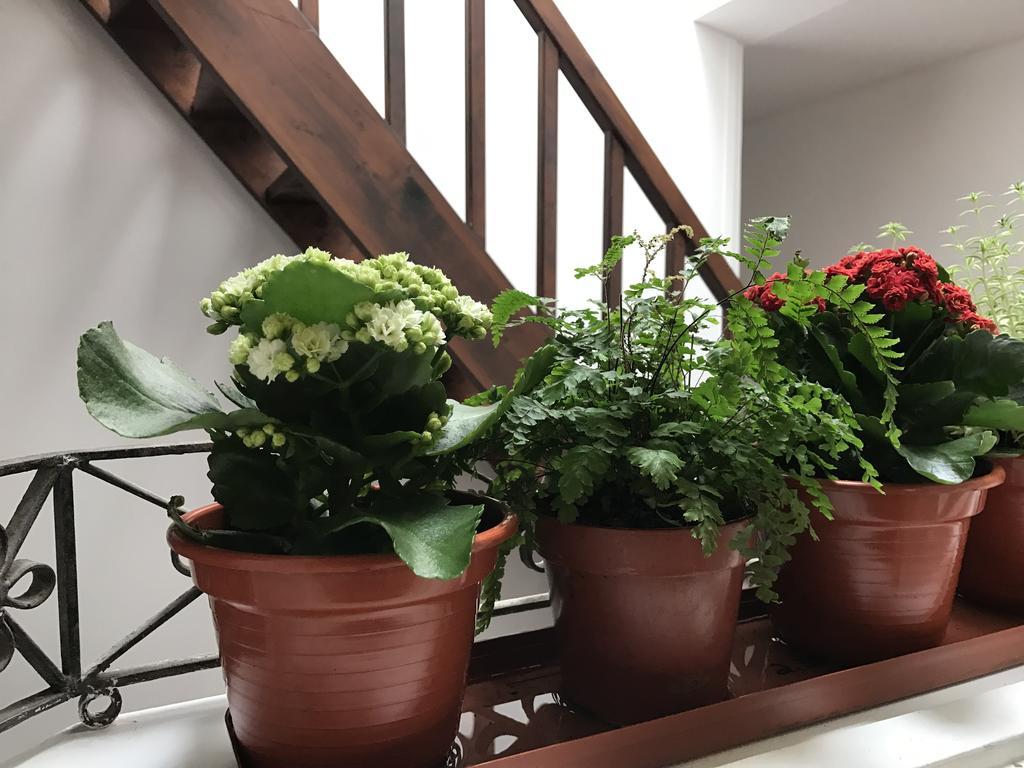 The Brewmaster'S House Apartment Porto Luaran gambar